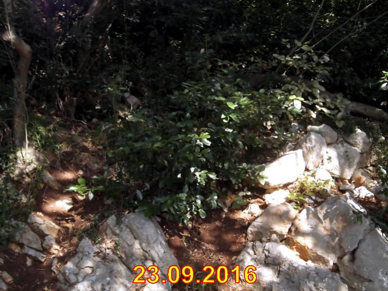 rabac023