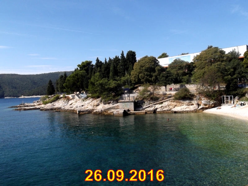 rabac049