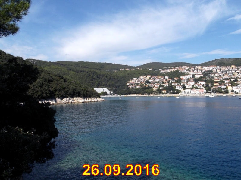 rabac053