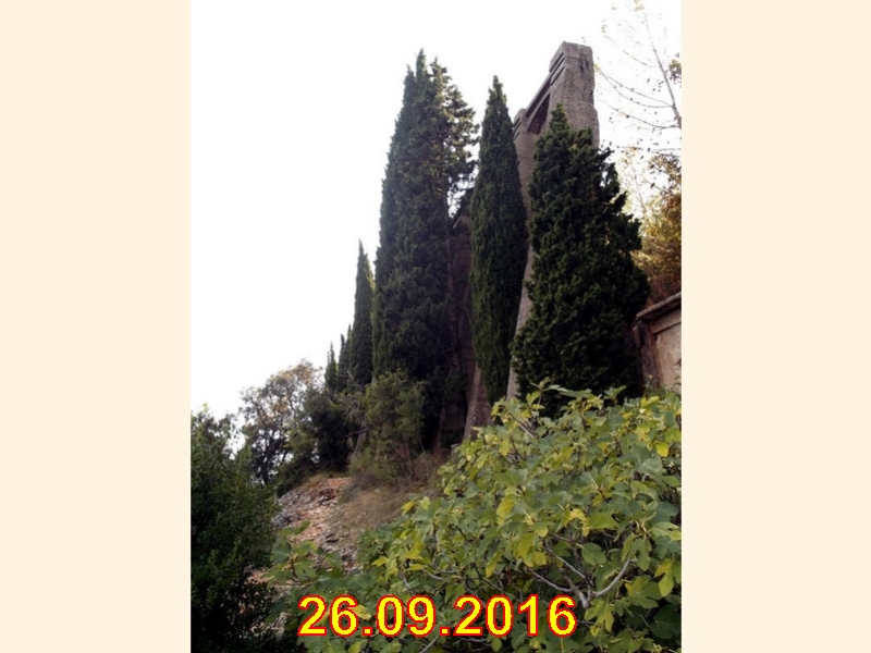 rabac055