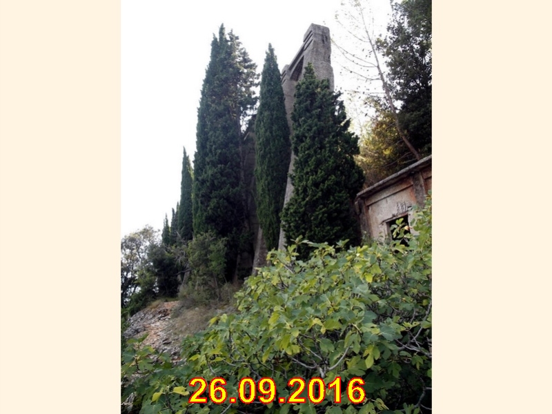 rabac056