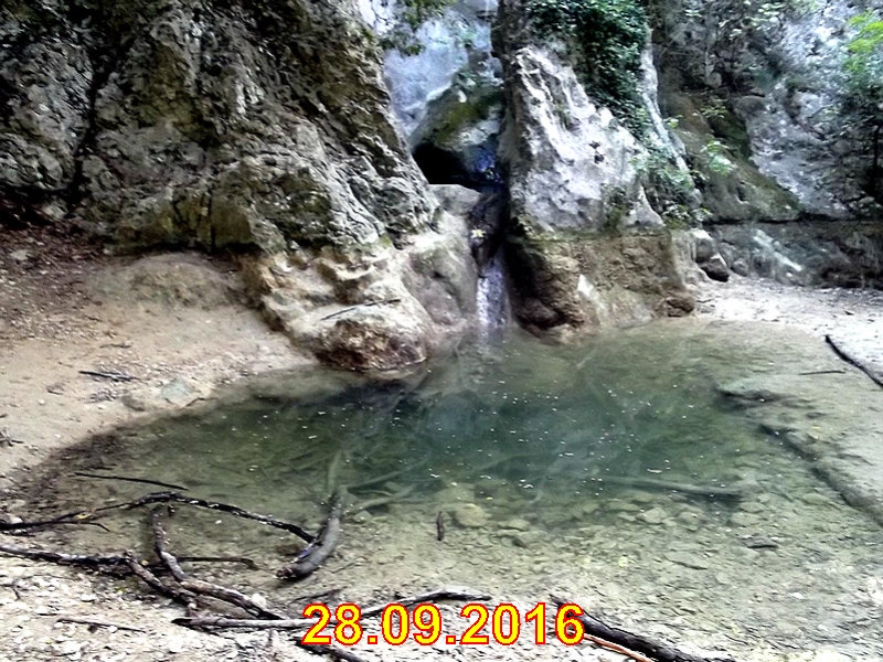 rabac071