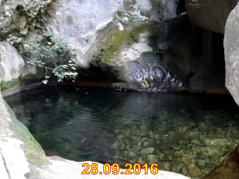 rabac072
