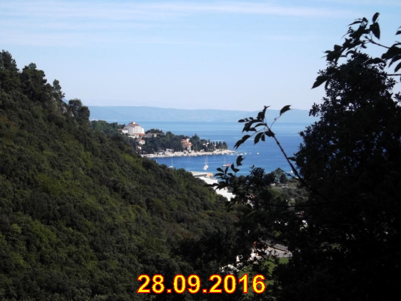 rabac075