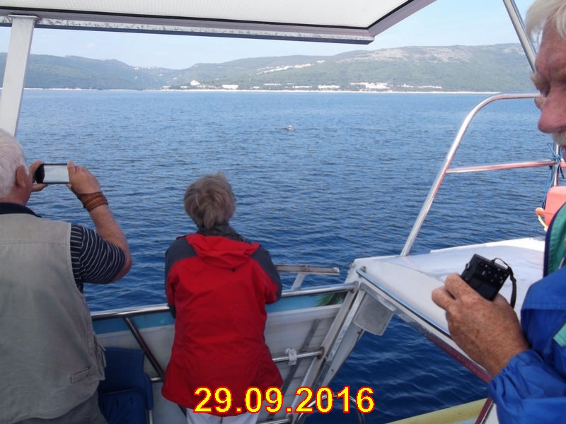 rabac087