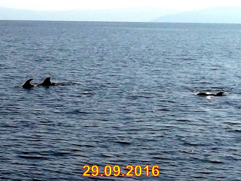 rabac089