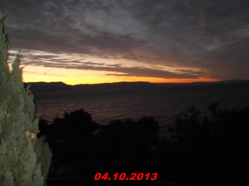 DSCF0901