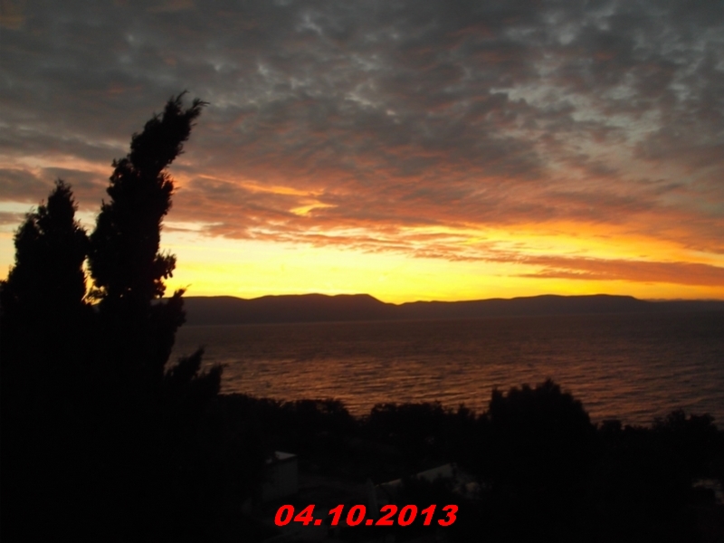 DSCF0905