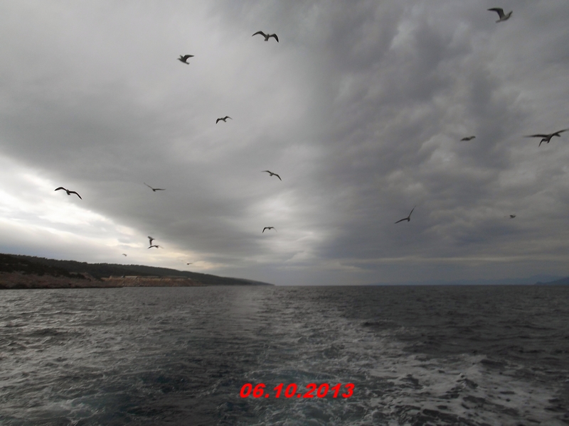 DSCF0962