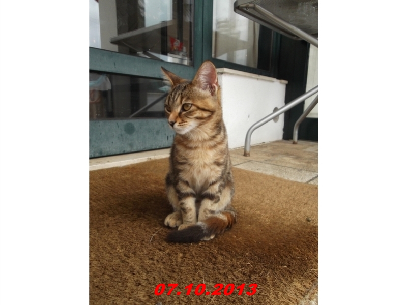DSCF0965
