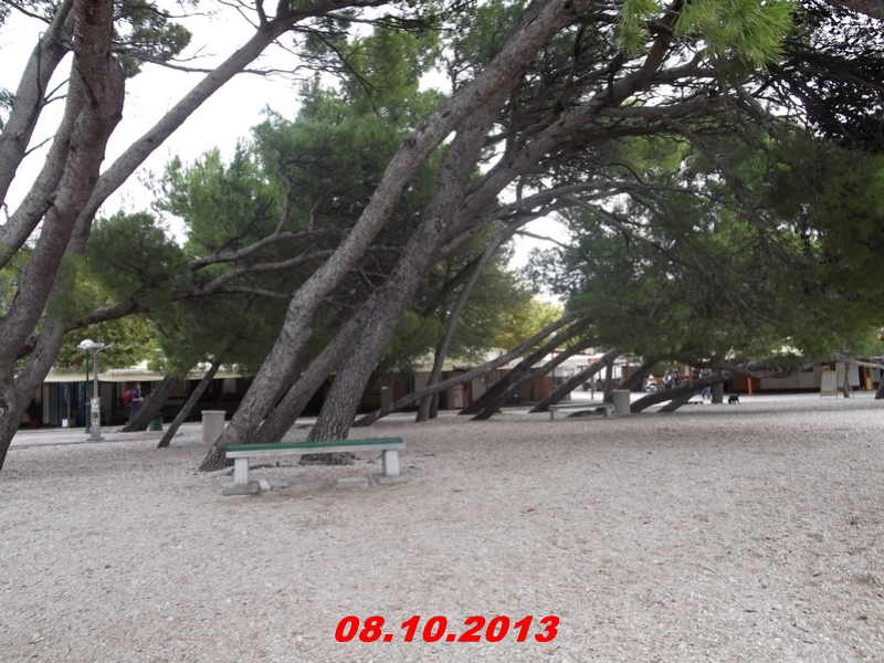 DSCF0990