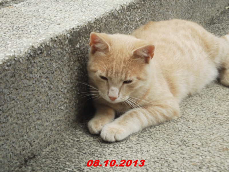 DSCF1005