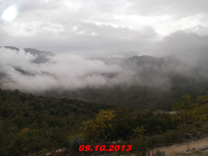 DSCF1019