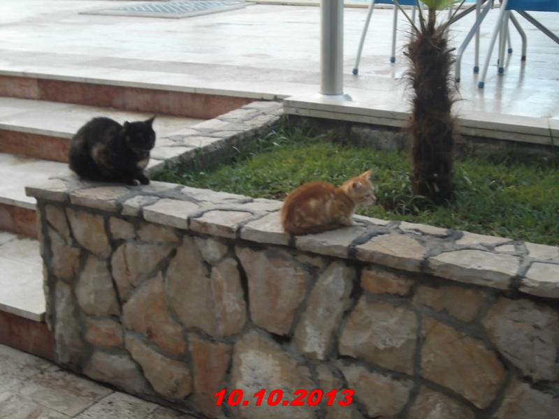 DSCF1044