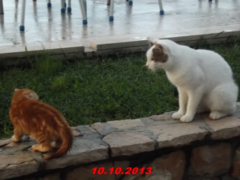 DSCF1045